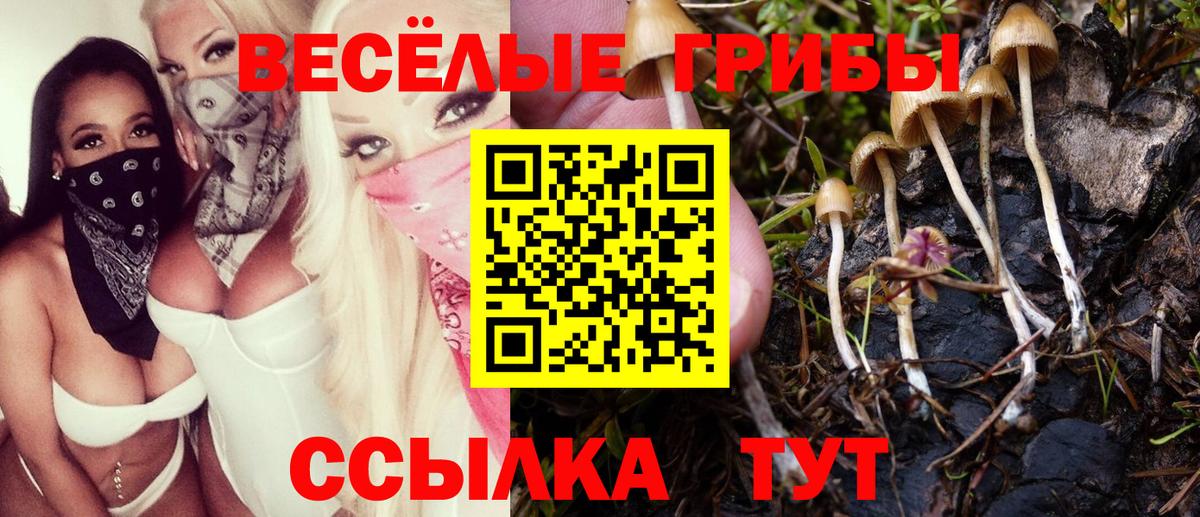 Галлюциногенные грибы MAGIC MUSHROOMS  Псилоцибиновые грибы мицелий  Ханты-Мансийск  Вход с VPN 